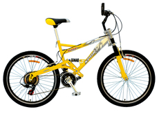 24"18 speed suspension Mountain bike